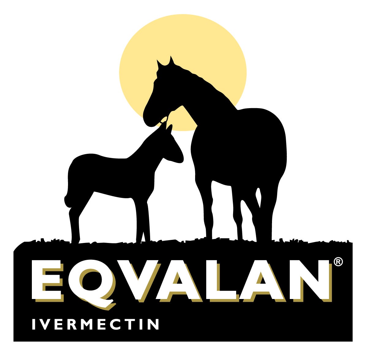 Eqvalan logo